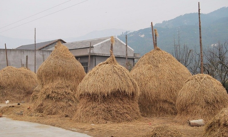 牛糞制作有機(jī)肥工藝簡(jiǎn)述，有機(jī)肥生產(chǎn)線大概要花多少錢